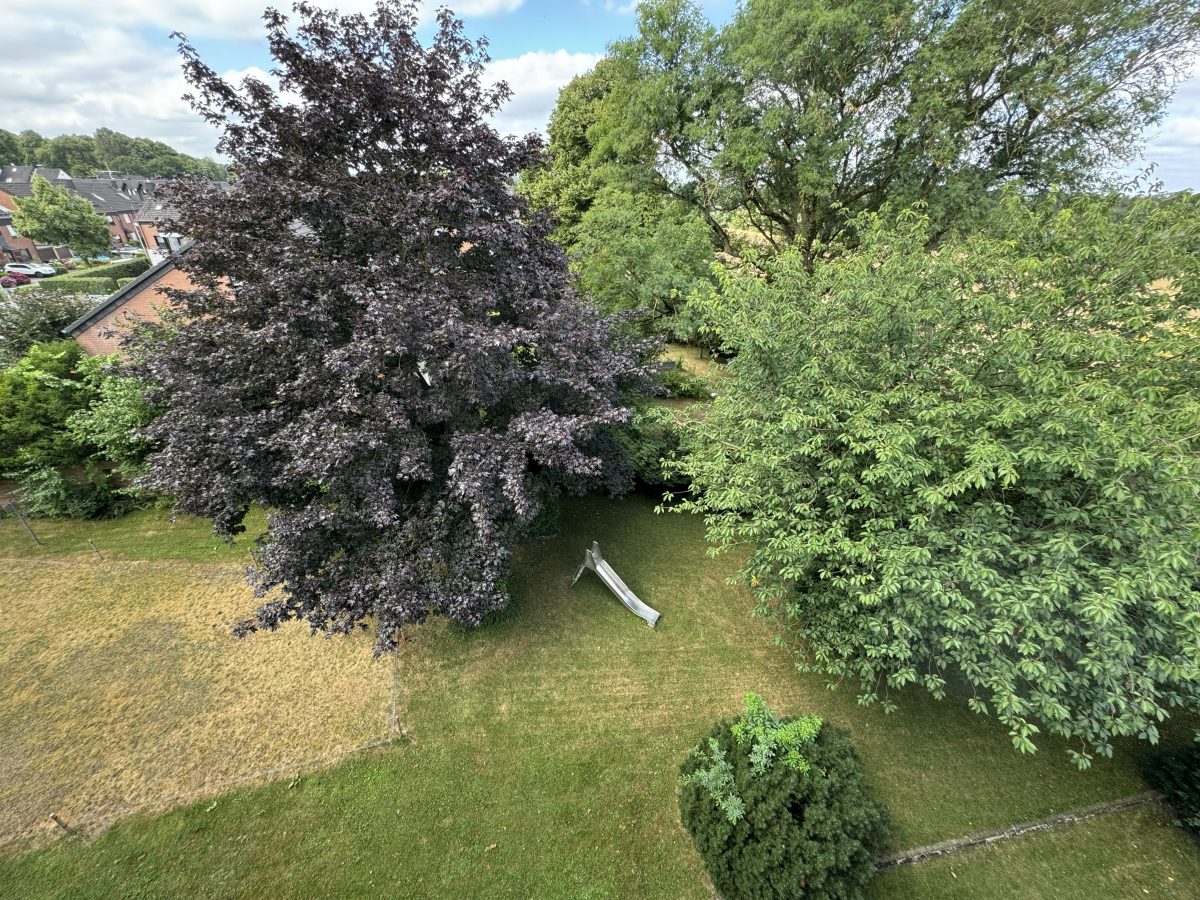 Gartenanlage
