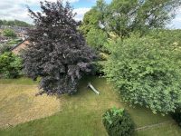 Gartenanlage